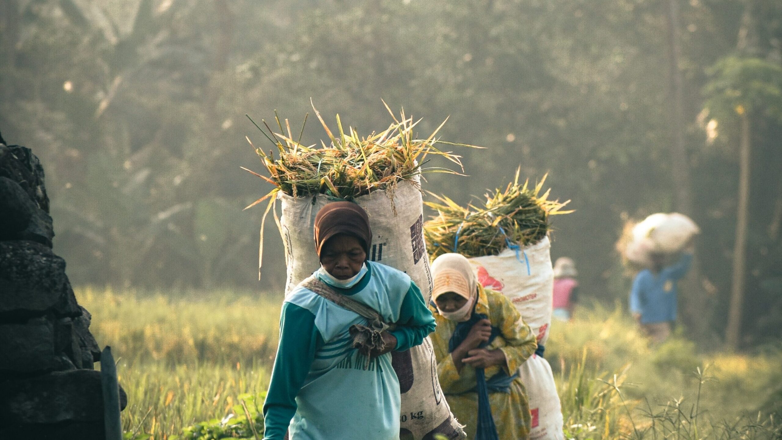 Women, Climate Change, and the Missing Voices