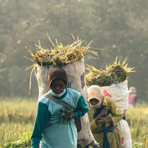 Women disproportionately affected by climate change, yet they often excluded from the climate conversation and policy making.